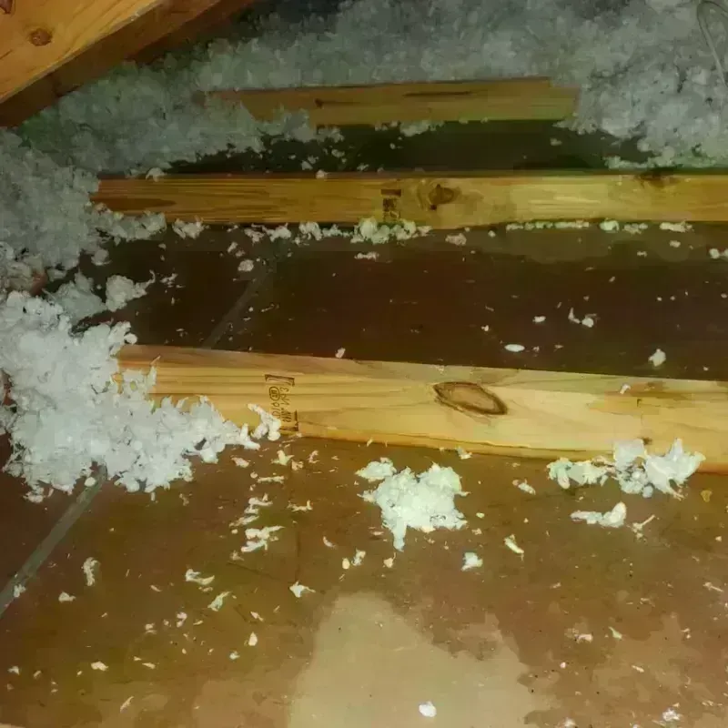 Attic Water Damage in Mineral County, WV